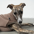 Load image into Gallery viewer, SWEAT SHIRT Sighthound Mokka
