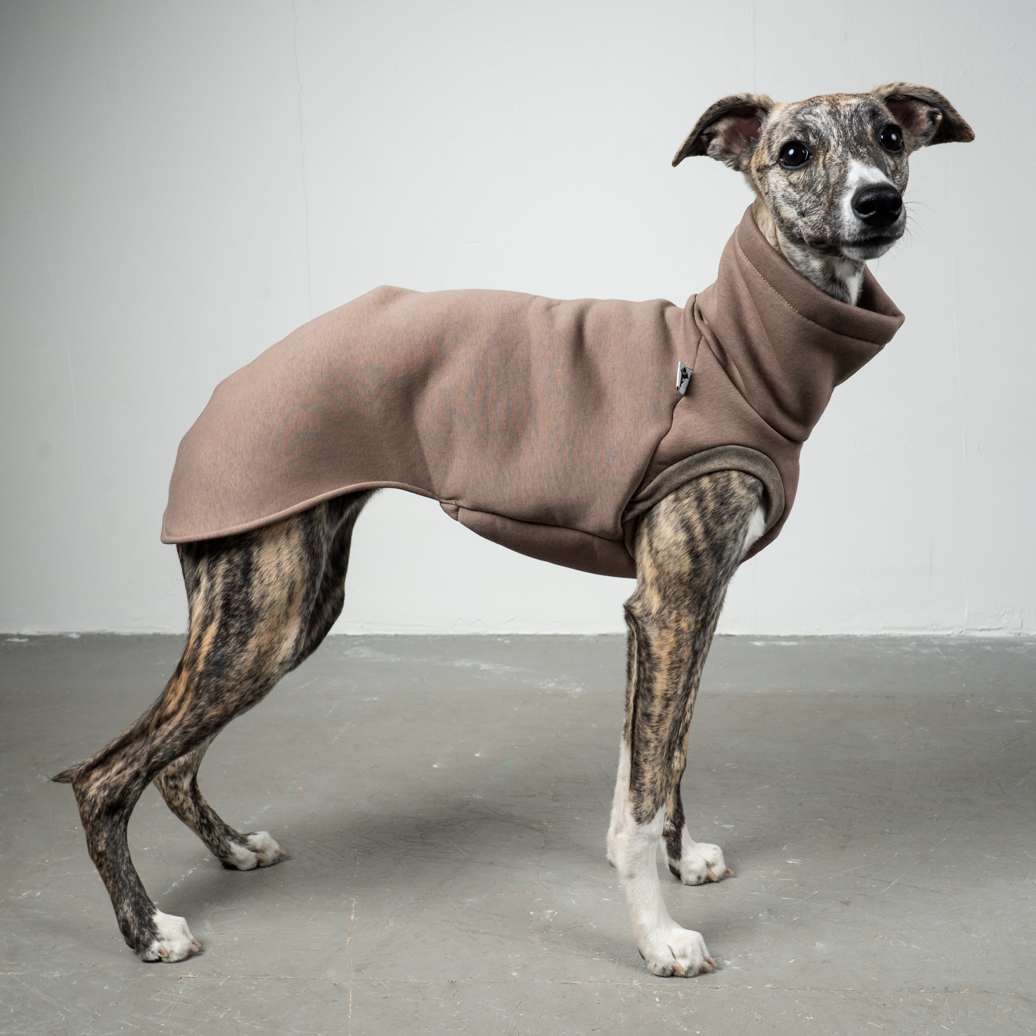 SWEAT SHIRT Sighthound Mokka