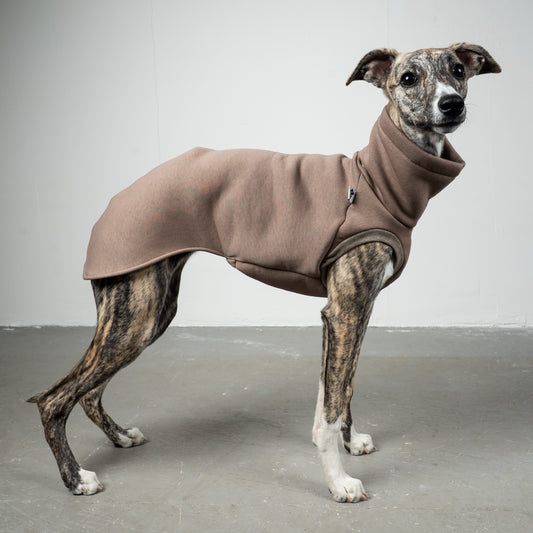 SWEAT SHIRT Sighthound Mokka
