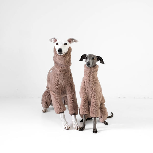 teddy overall für windhunde