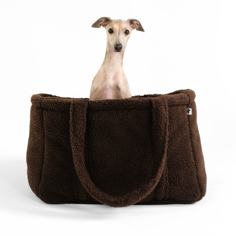 Teddy Shopper Small Brown Italian Greyhound