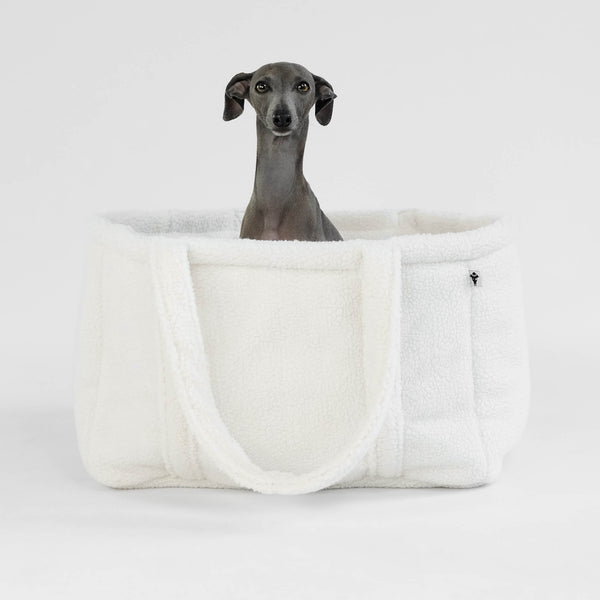 Teddy Shopper Small Offwhite Italian Greyhound