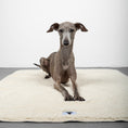 Load image into Gallery viewer, Teddy Kuscheldecke Dunkelbraun/Beige
