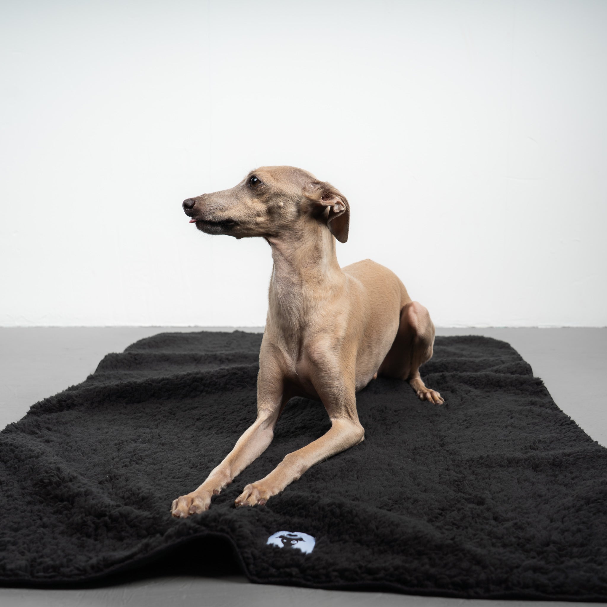 Teddy Kuscheldecke Schwarz