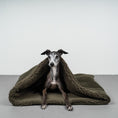 Load image into Gallery viewer, Teddy Hundeschlafsack Olivgrün
