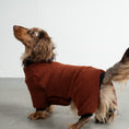 Load image into Gallery viewer, Teddy Overall Dackel Brown – Hundekleidung für Dackel, Windspiele und Whippets – Rückenansicht
