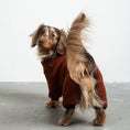 Load image into Gallery viewer, Teddy Overall Dackel Brown – Hundekleidung für Dackel, Windspiele und Whippets – Rückenansicht
