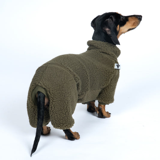 Teddy Overall Dackel Dark Olive – Hundekleidung für Dackel, Windspiele und Whippets – Rückenansicht