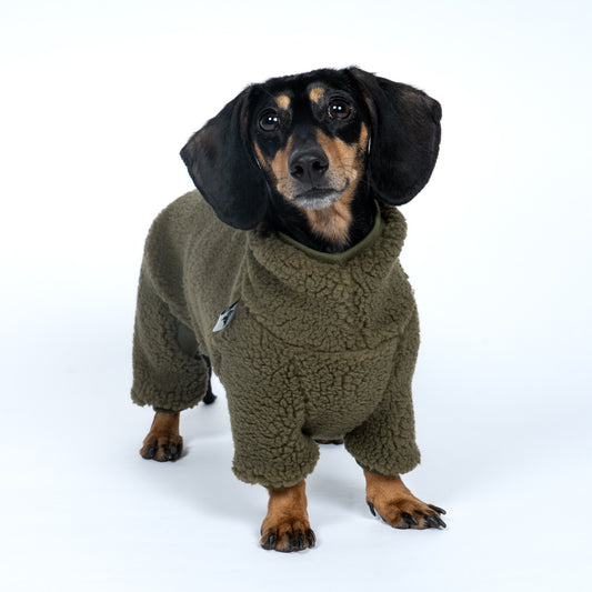 Teddy Overall Dackel Dark Olive – Ganzkörperansicht – stilvolle Hundekleidung für Dackel und Windspiele