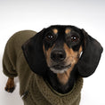 Load image into Gallery viewer, TEDDY OVERALL Dackel Dark Olive
