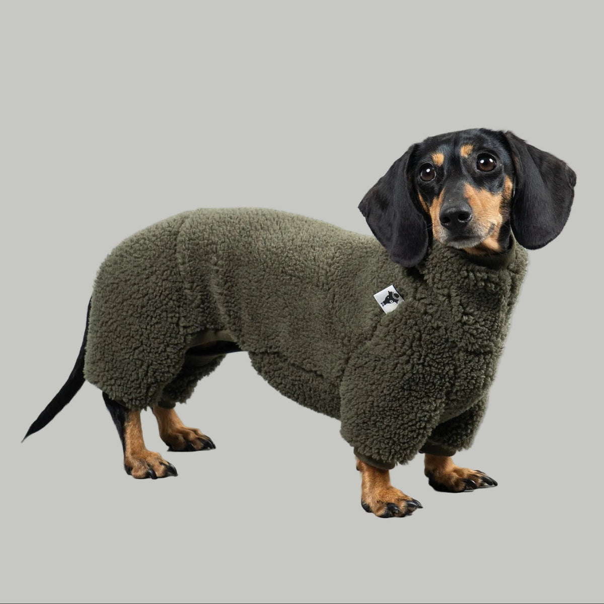 TEDDY OVERALL Dackel Olivgrün