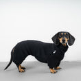 Load image into Gallery viewer, TEDDY OVERALL Dackel Schwarz
