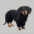 Load image into Gallery viewer, TEDDY OVERALL Dackel Schwarz
