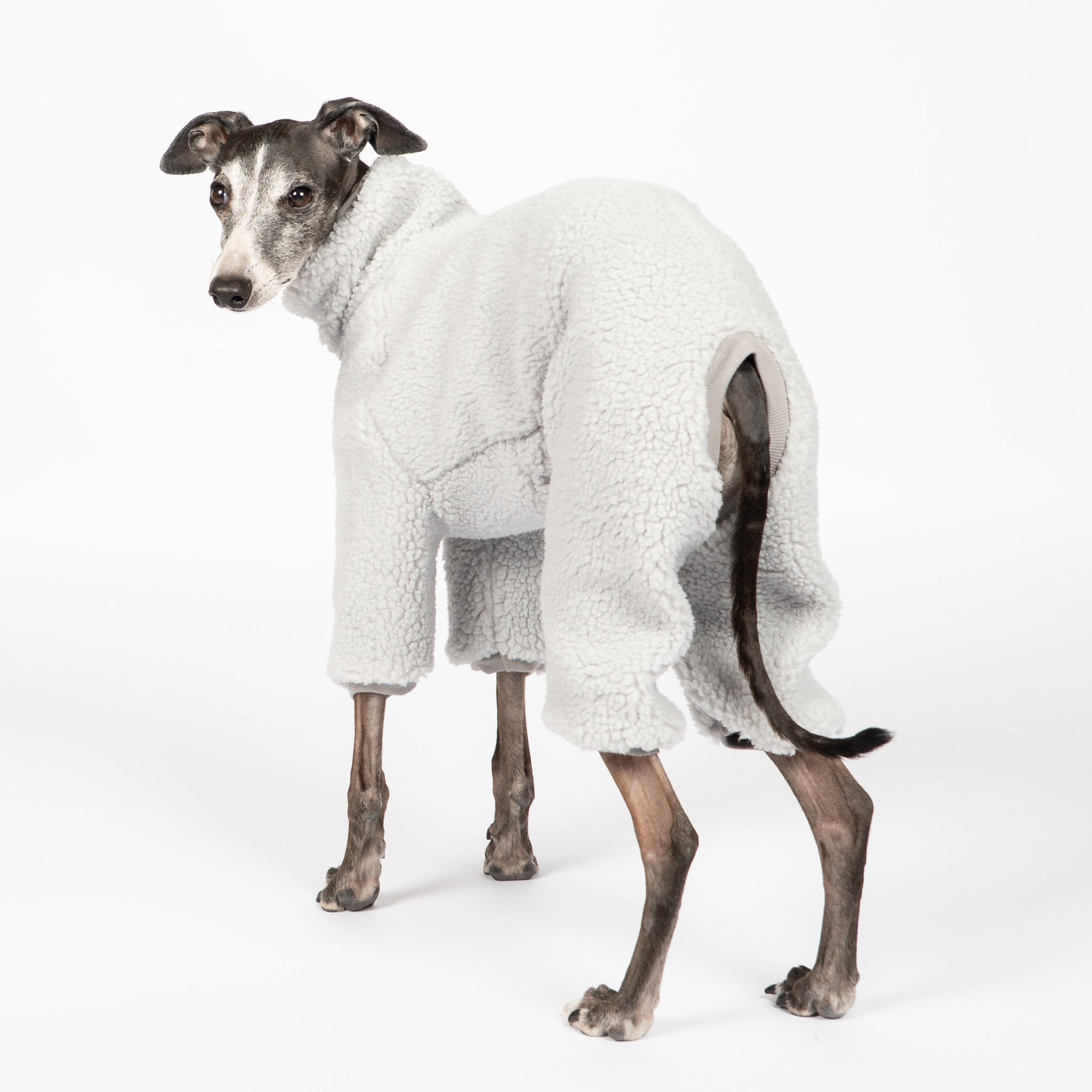 Teddy Overall Iggy Light Grey – Hundekleidung für Dackel, Windspiele und Whippets – Rückenansicht