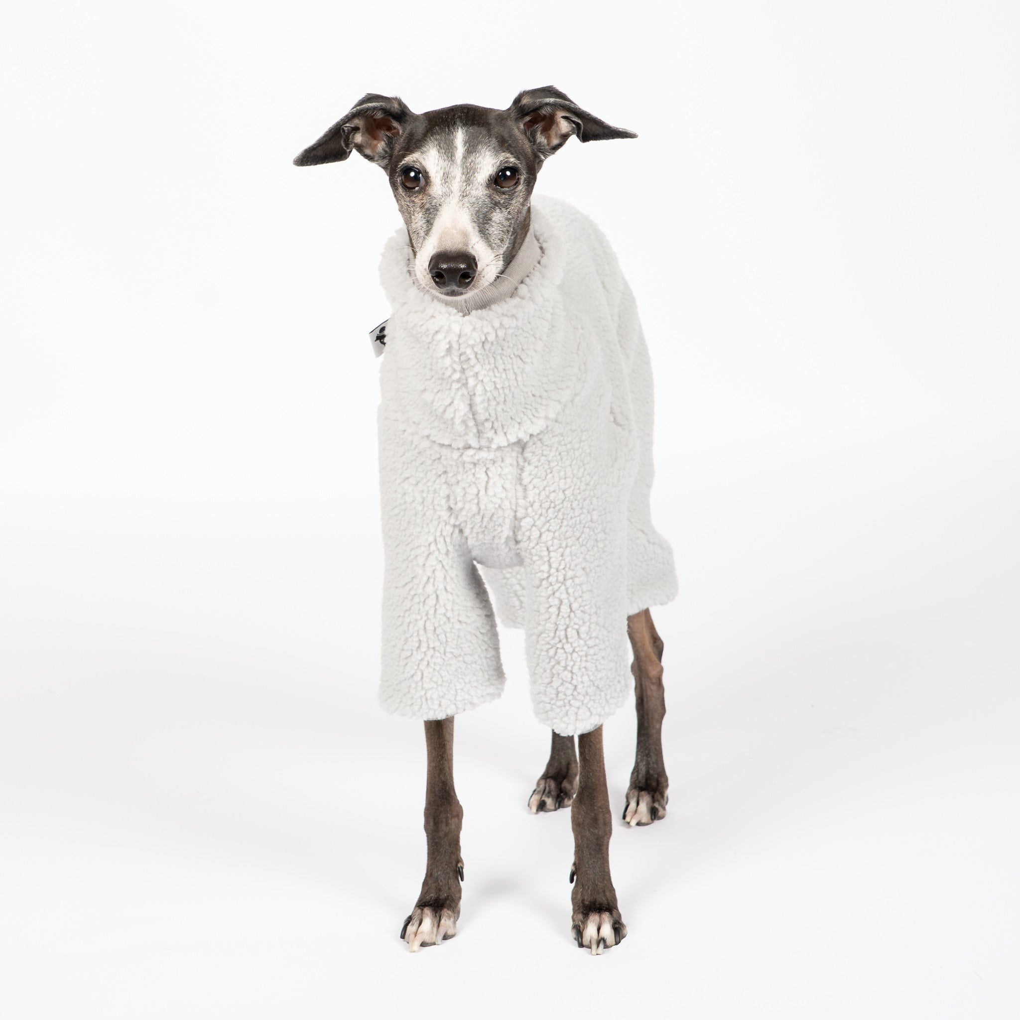 Teddy Overall Iggy Light Grey – Hundepullover und Hundekleidung für Dackel und Windspiele – Seitenansicht am Hund