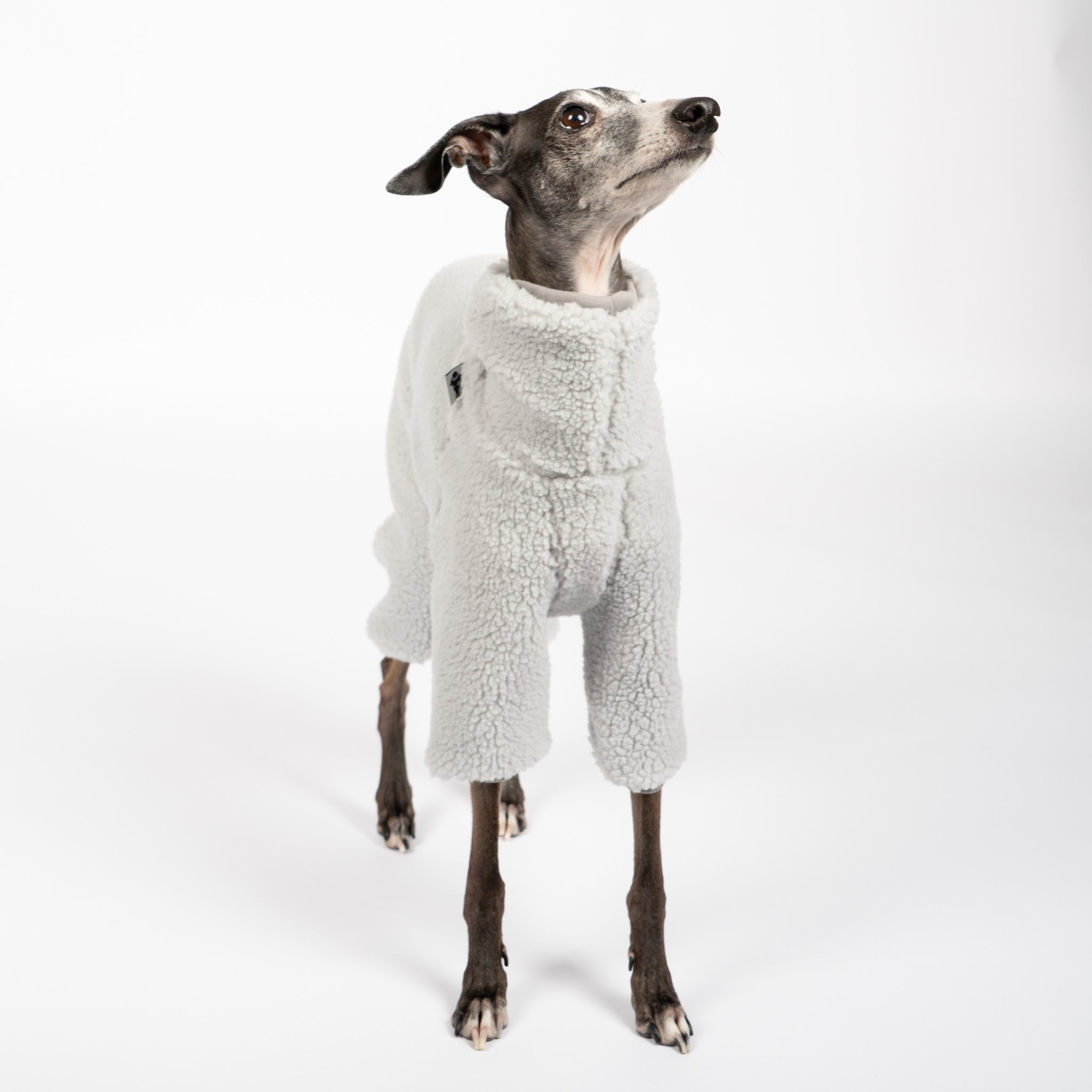 Teddy Overall Iggy Light Grey – optimale Passform für Windhunde, Windspiele und Dackel