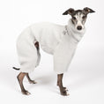 Load image into Gallery viewer, Teddy Overall Iggy Light Grey – hochwertige Hundekleidung für Dackel, Windspiele und Windhunde von Karma Hund Berlin – Ganzkörperansicht am Hund
