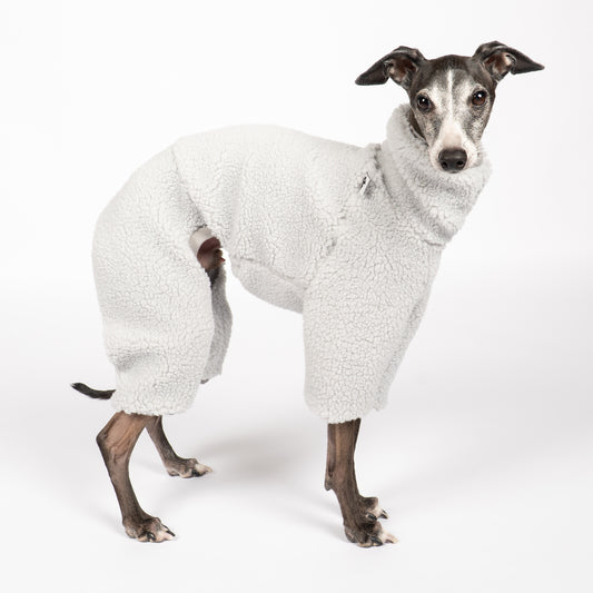 Teddy Overall Iggy Light Grey – hochwertige Hundekleidung für Dackel, Windspiele und Windhunde von Karma Hund Berlin – Ganzkörperansicht am Hund