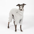 Load image into Gallery viewer, Teddy Overall Iggy Light Grey – Hundepullover und Hundekleidung für Dackel und Windspiele – Seitenansicht am Hund
