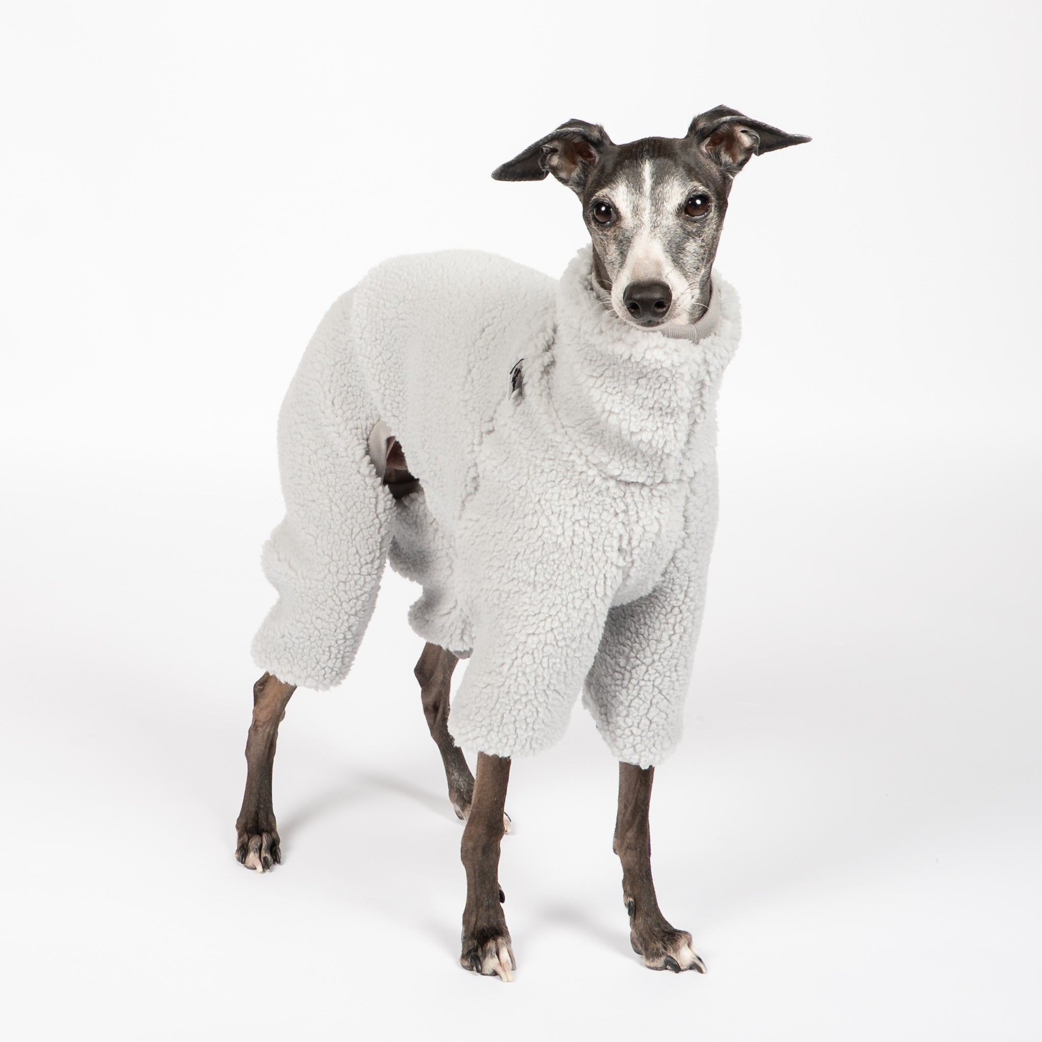 Teddy Overall Iggy Light Grey – Hundepullover und Hundekleidung für Dackel und Windspiele – Seitenansicht am Hund