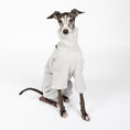 Load image into Gallery viewer, Teddy Overall Iggy Light Grey – ergonomischer Schnitt für Dackel und Windspiele – handgefertigte Hundekleidung
