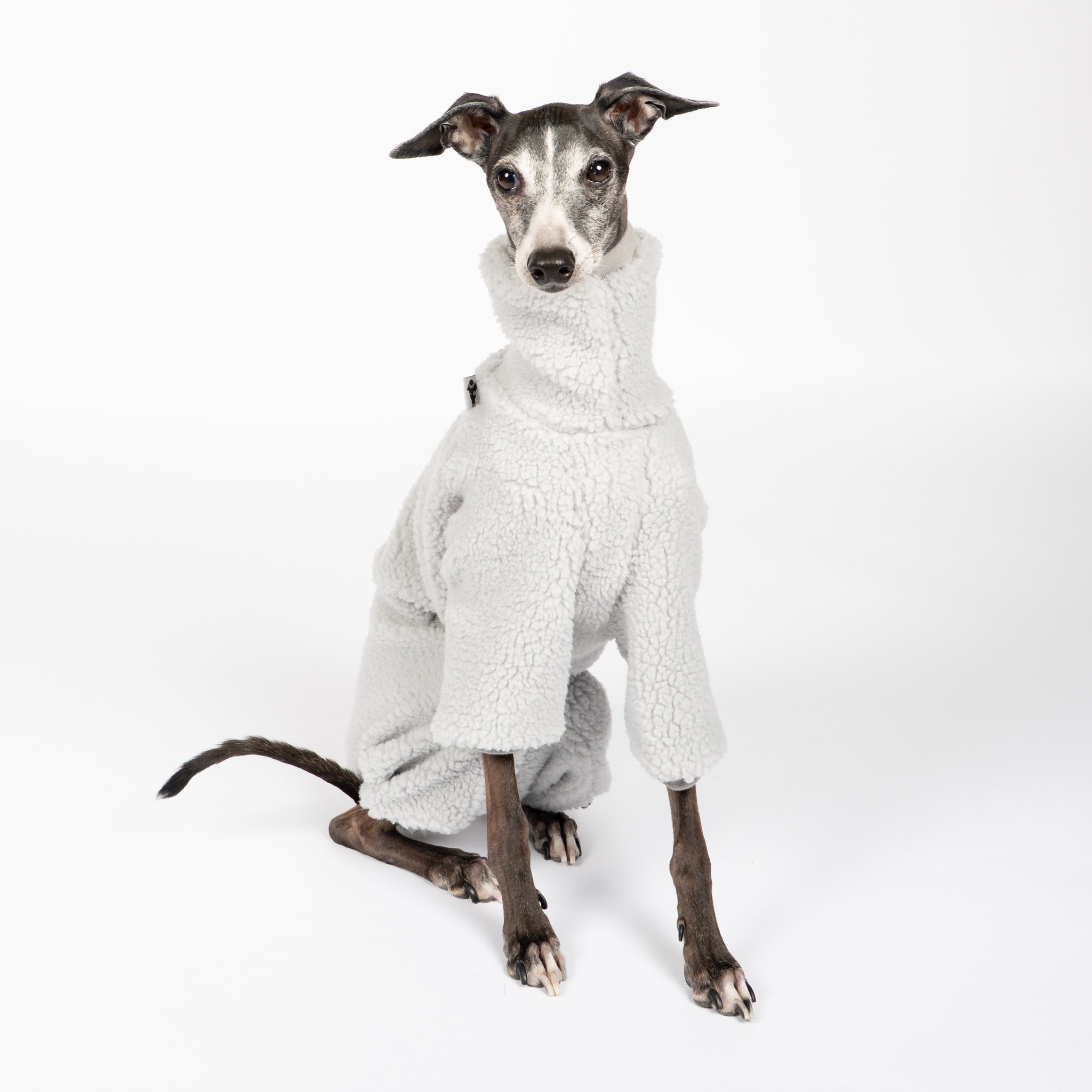 Teddy Overall Iggy Light Grey – ergonomischer Schnitt für Dackel und Windspiele – handgefertigte Hundekleidung