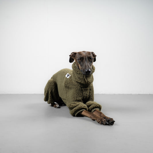 TEDDY OVERALL Iggy Olivgrün