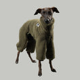 Load image into Gallery viewer, TEDDY OVERALL Iggy Olivgrün
