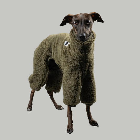 TEDDY OVERALL Iggy Olivgrün