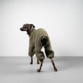 Load image into Gallery viewer, TEDDY OVERALL Iggy Olivgrün
