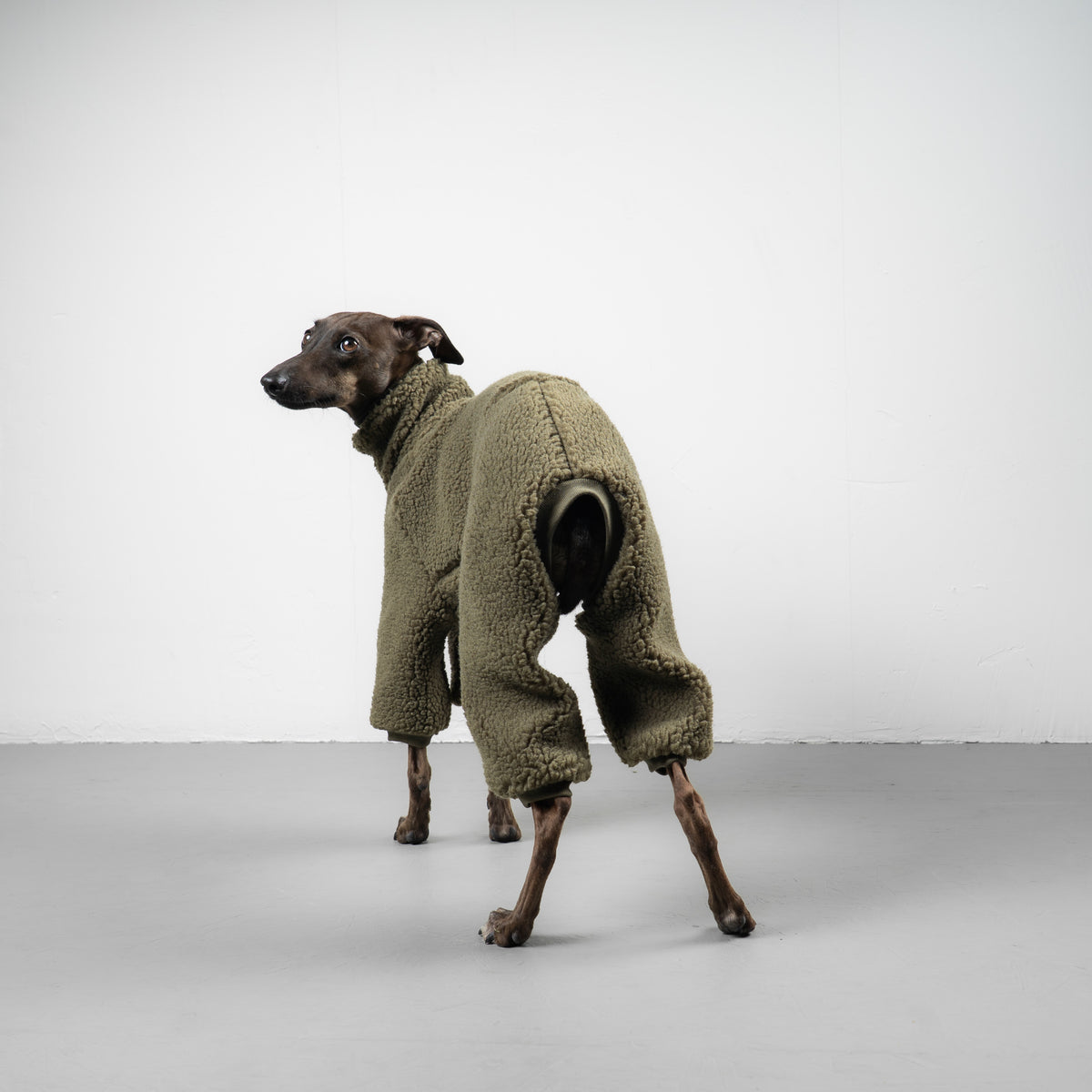 TEDDY OVERALL Iggy Olivgrün