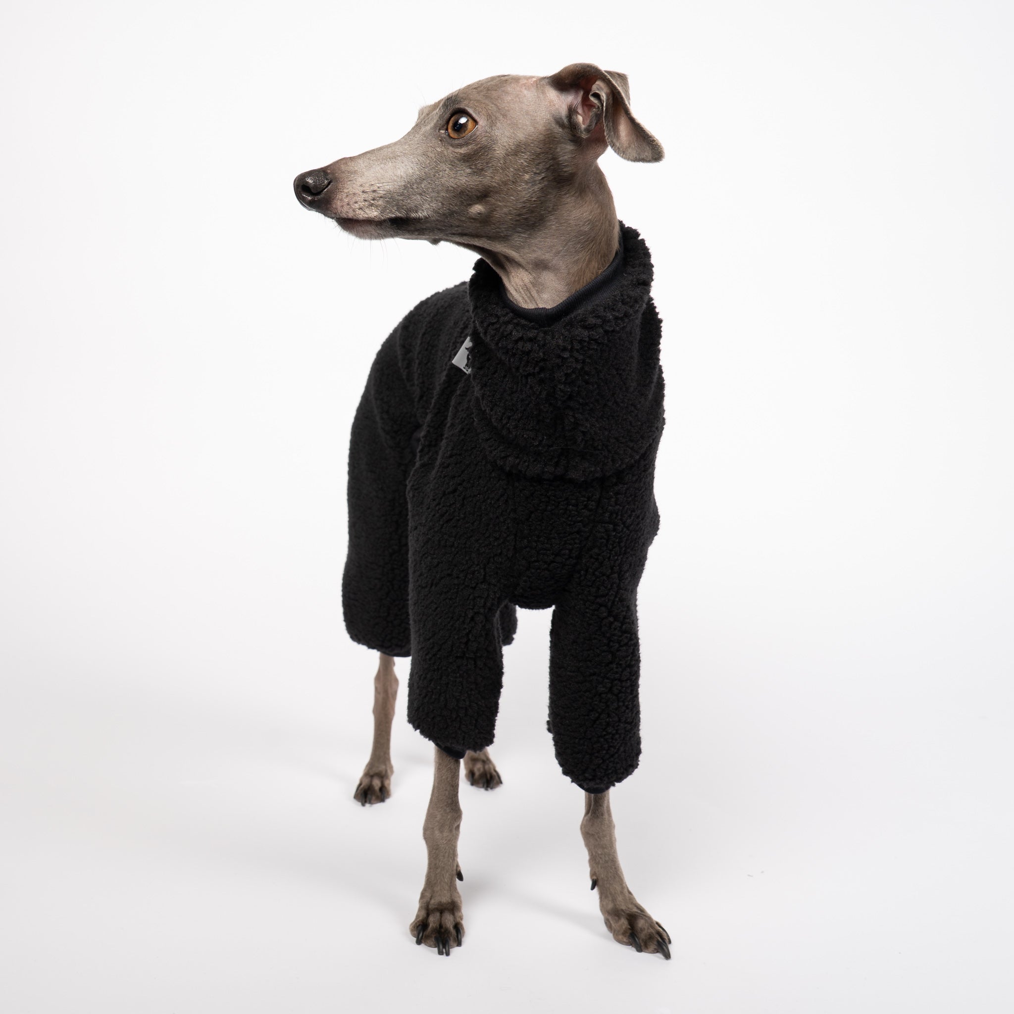 TEDDY OVERALL Iggy Schwarz