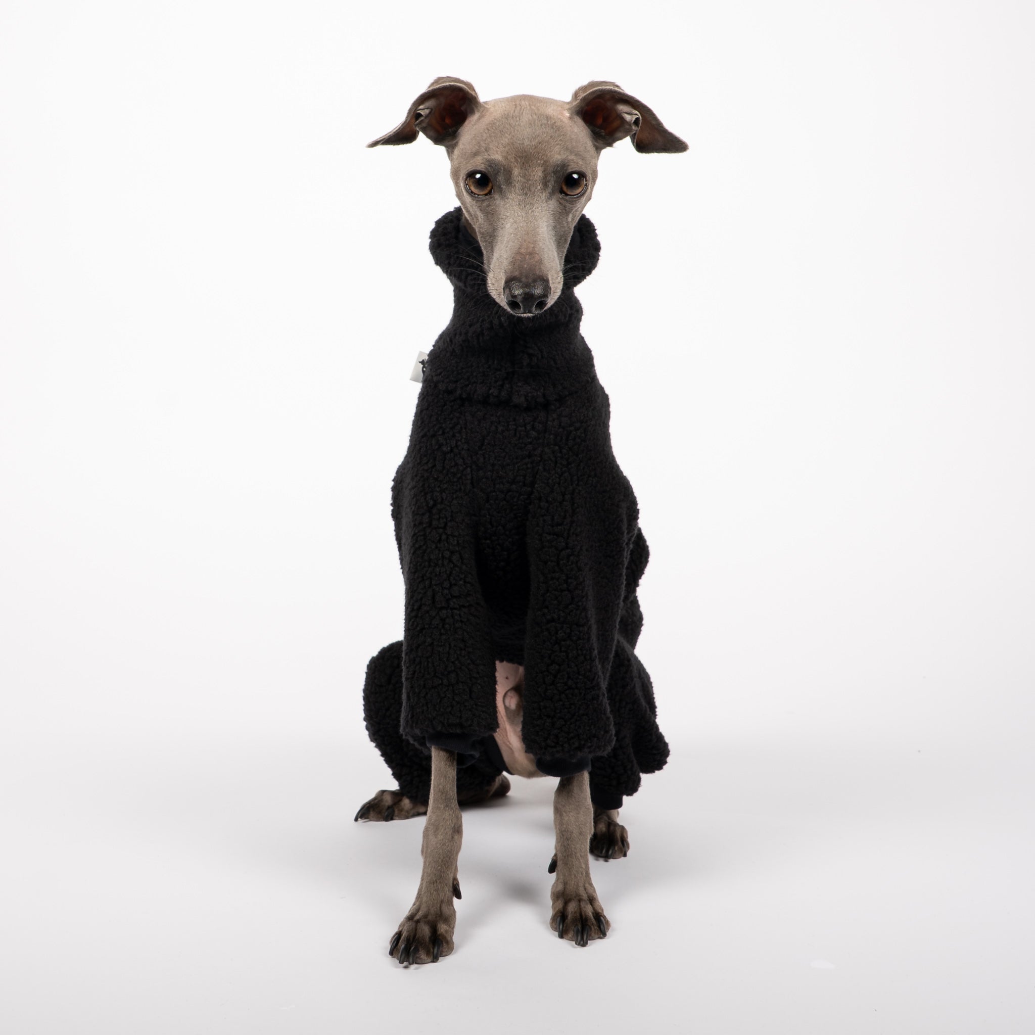 TEDDY OVERALL Iggy Schwarz