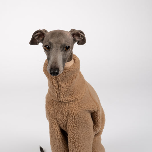 Teddy Overall Iggy Camel – Close-up am Hund – hochwertige Hundekleidung von Karma Hund