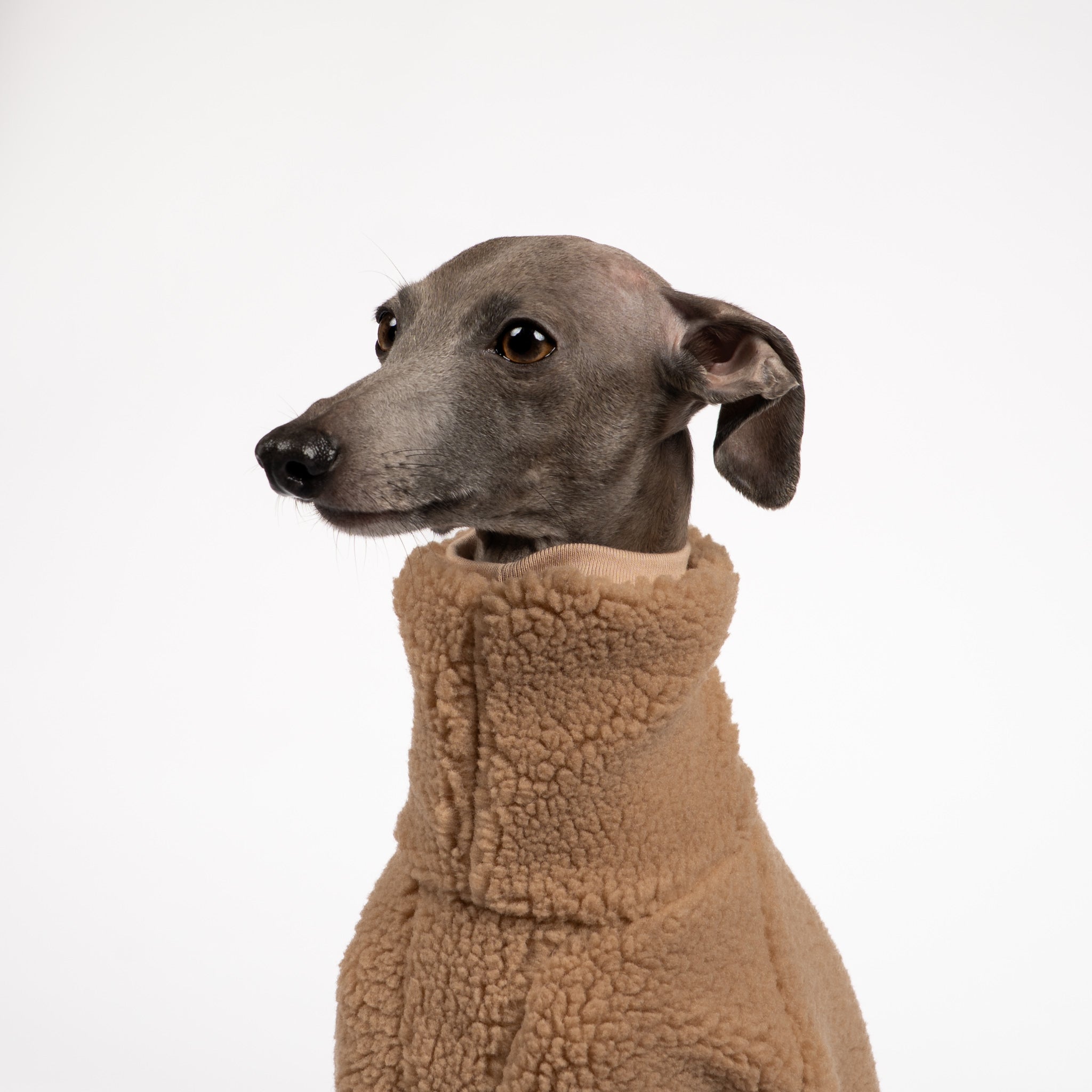 TEDDY OVERALL Iggy Camel