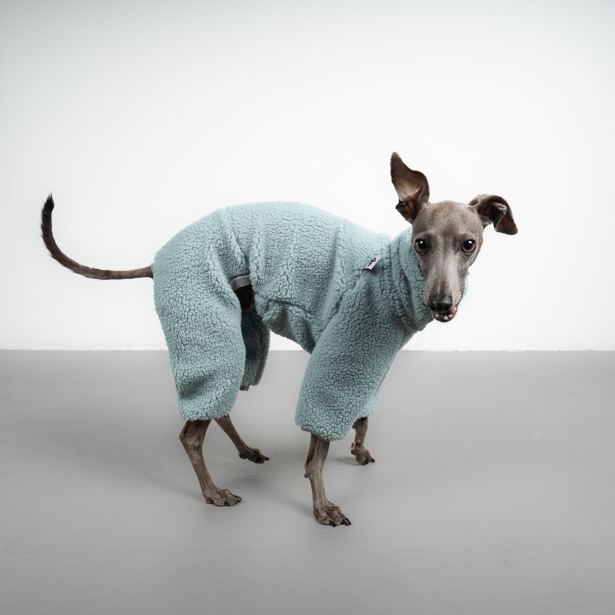 TEDDY OVERALL Iggy Mintblau