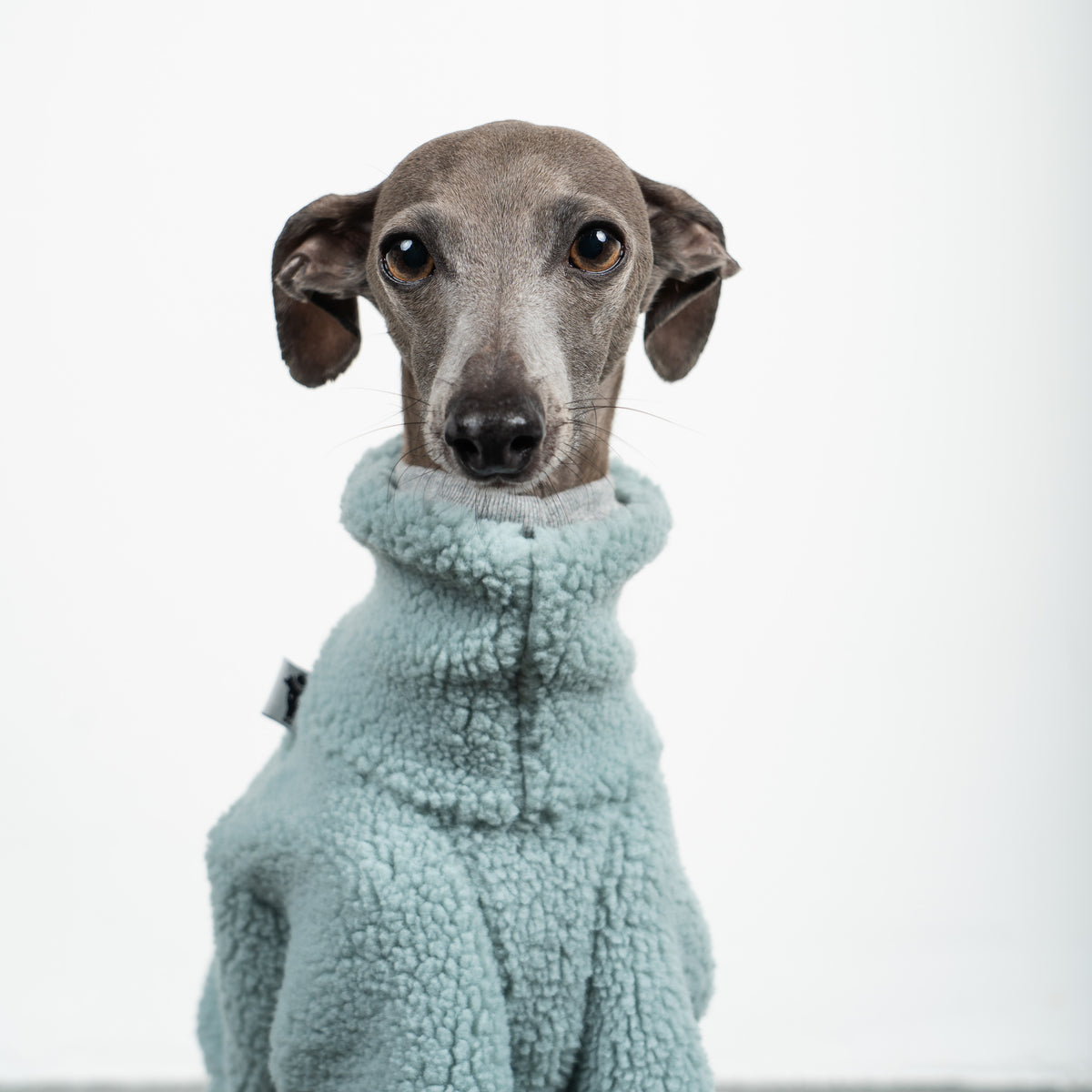 TEDDY OVERALL Iggy Mintblau