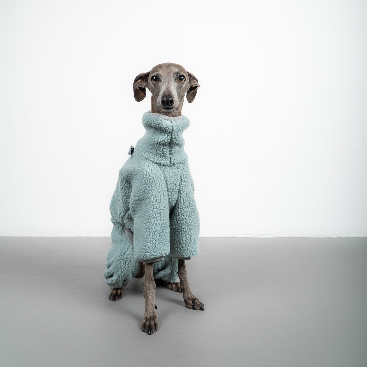 TEDDY OVERALL Iggy Mintblau