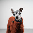 Load image into Gallery viewer, TEDDY OVERALL Iggy Rostbraun
