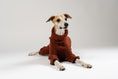Load image into Gallery viewer, Stylischer Windhund Overall für Whippets und Silken Windsprites – hochwertig, weich und funktional
