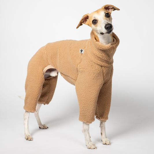 Teddy Overall Windhund Camel – hochwertige Hundekleidung für Dackel, Windspiele und Windhunde von Karma Hund Berlin – Ganzkörperansicht am Hund