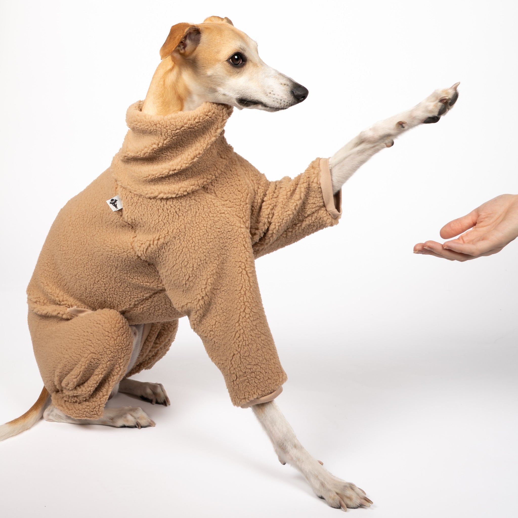 Teddy Overall Windhund Camel – Hund in Bewegung – bequeme Hundekleidung für Windhunde