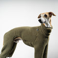 Load image into Gallery viewer, TEDDY OVERALL Windhund Olivgrün
