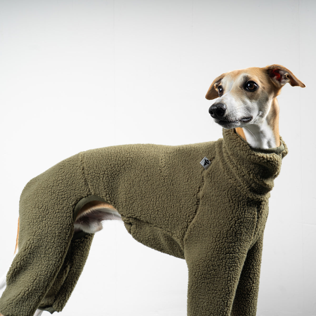 TEDDY OVERALL Windhund Olivgrün