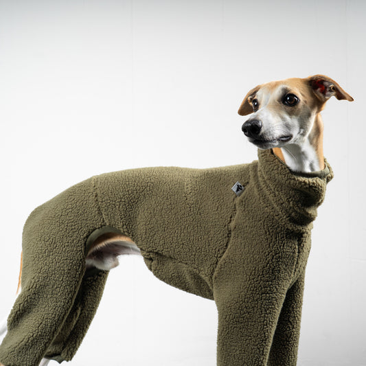 TEDDY OVERALL Windhund Olivgrün
