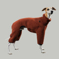Load image into Gallery viewer, TEDDY OVERALL Windhund Rostbraun
