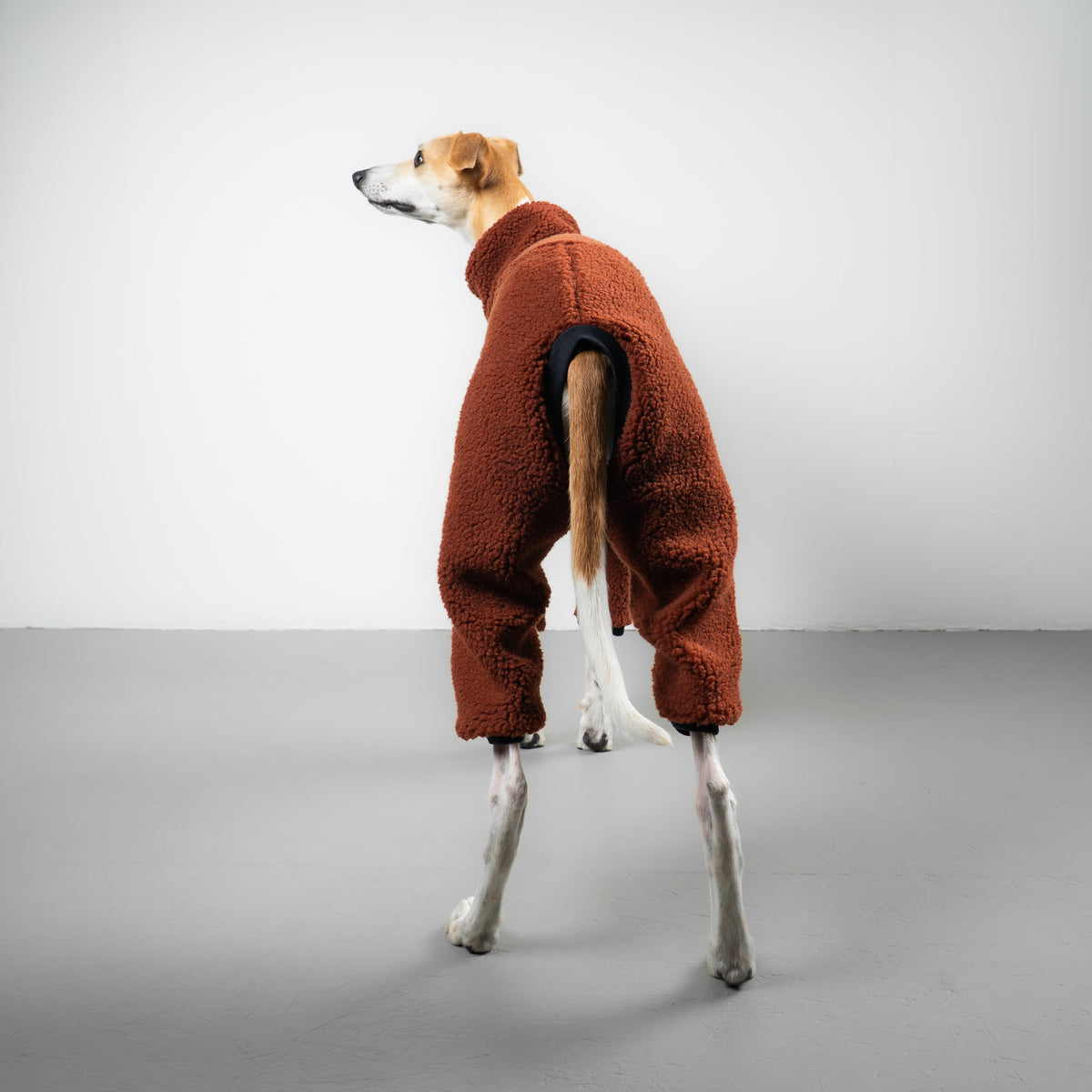 TEDDY OVERALL Windhund Rostbraun