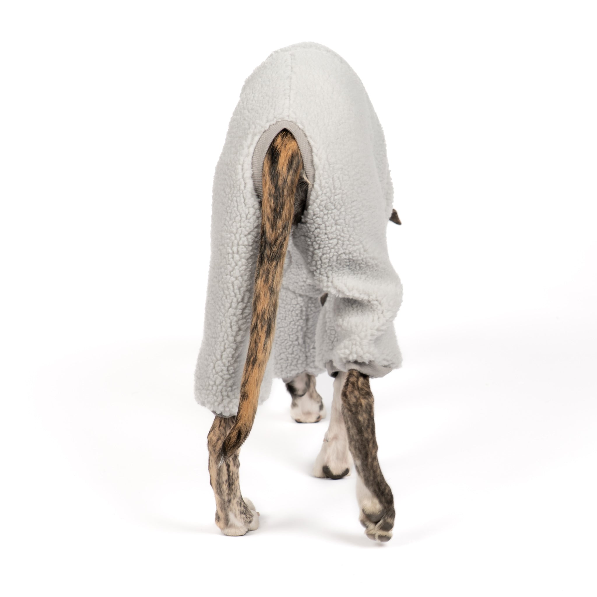 Teddy Overall Windhund Light Grey – Hundekleidung für Dackel, Windspiele und Whippets – Rückenansicht