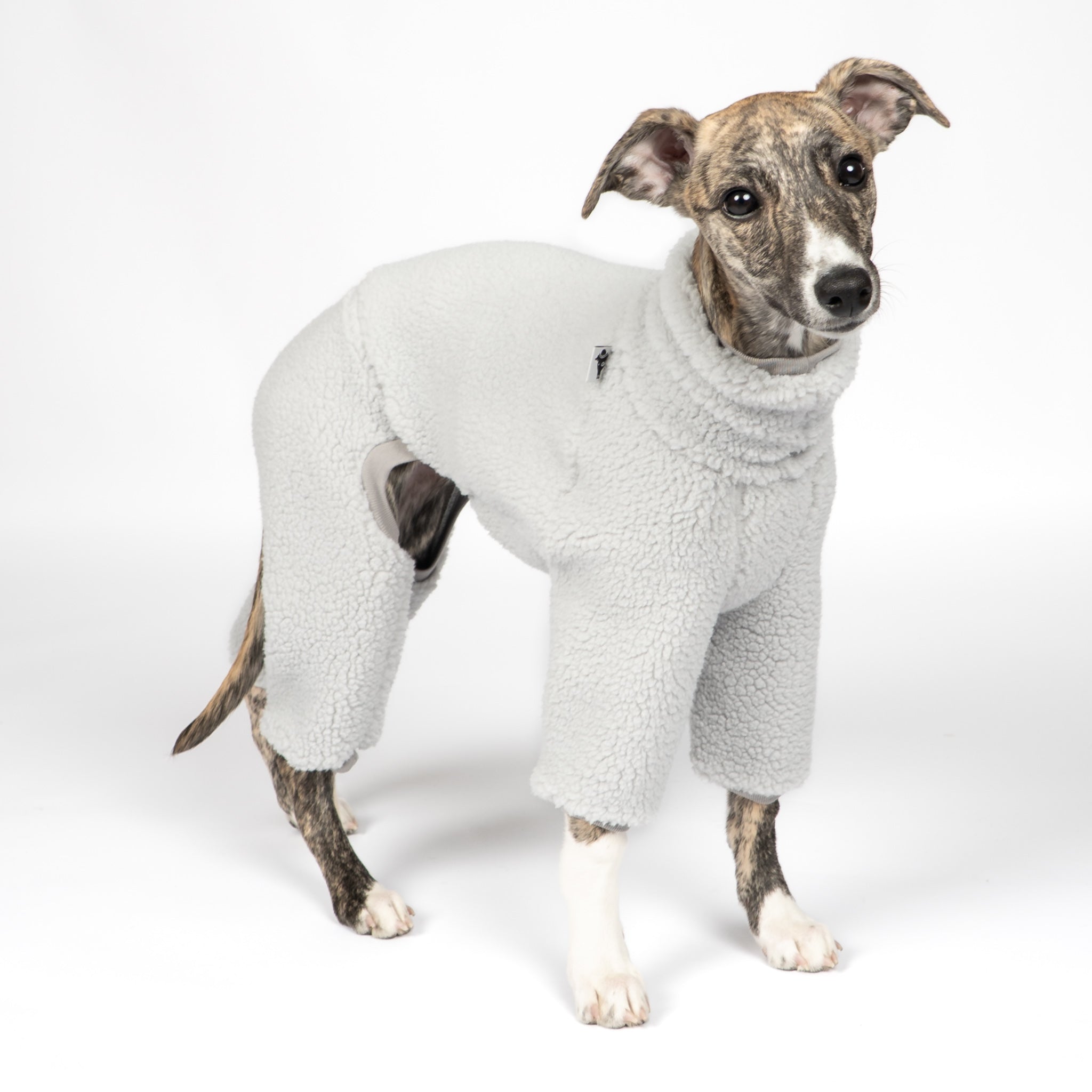 Teddy Overall Windhund Light Grey – hochwertige Hundekleidung für Dackel, Windspiele und Windhunde von Karma Hund Berlin – Ganzkörperansicht am Hund
