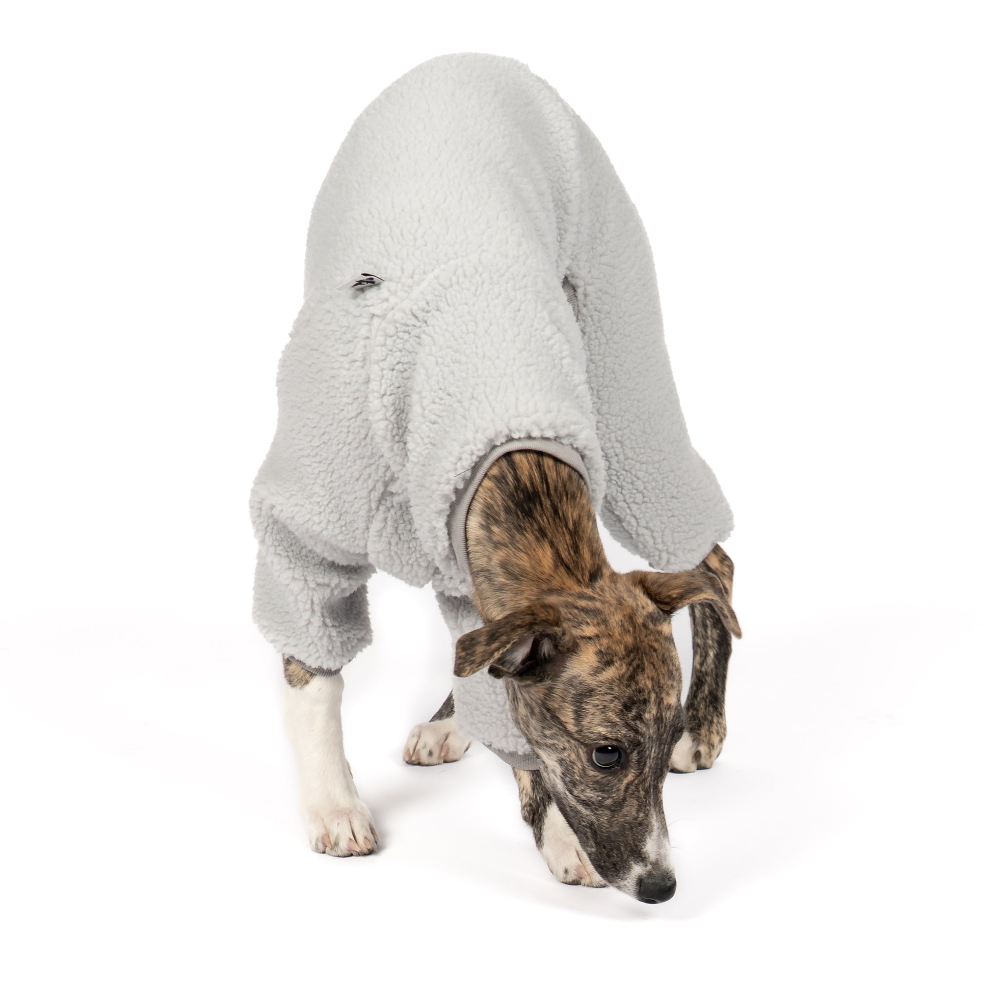 Teddy Overall Windhund Light Grey – Hund in Bewegung – bequeme Hundekleidung für Windhunde